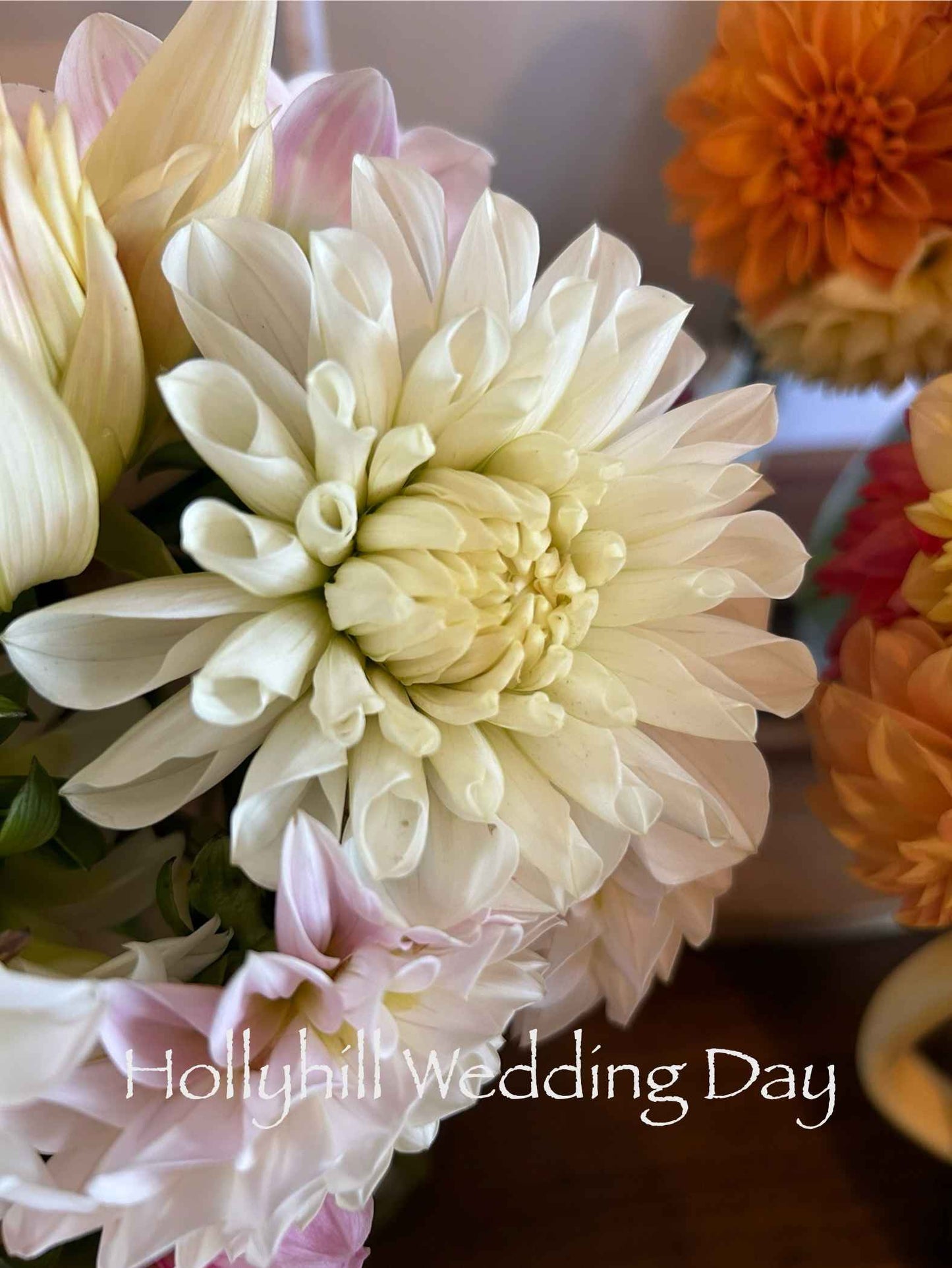 Hollyhill Wedding Day Tuber