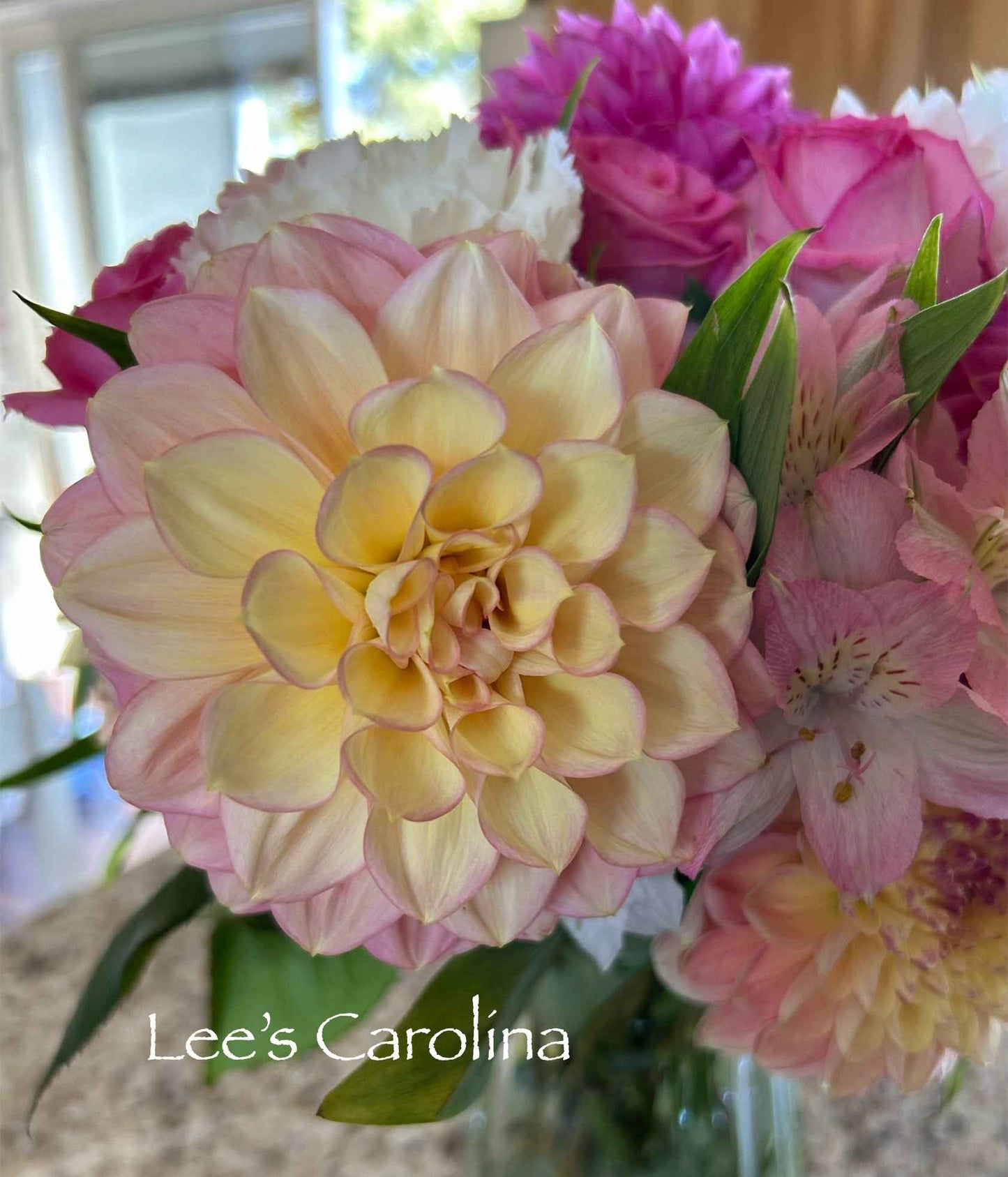 Lee's Carolina Tuber