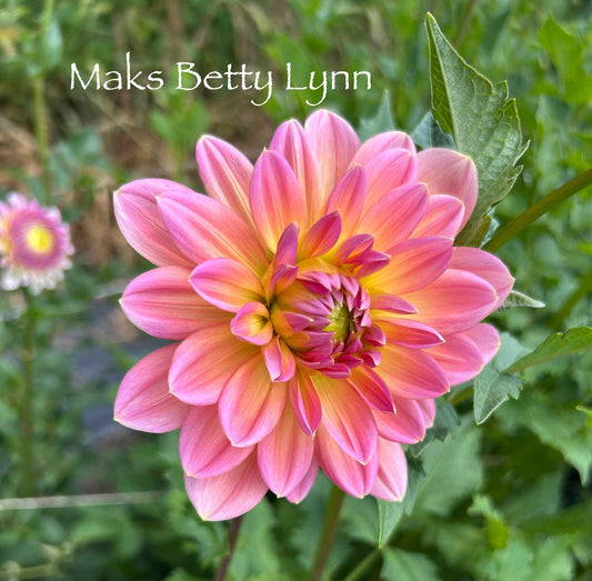 Maks Betty Lynn Tuber